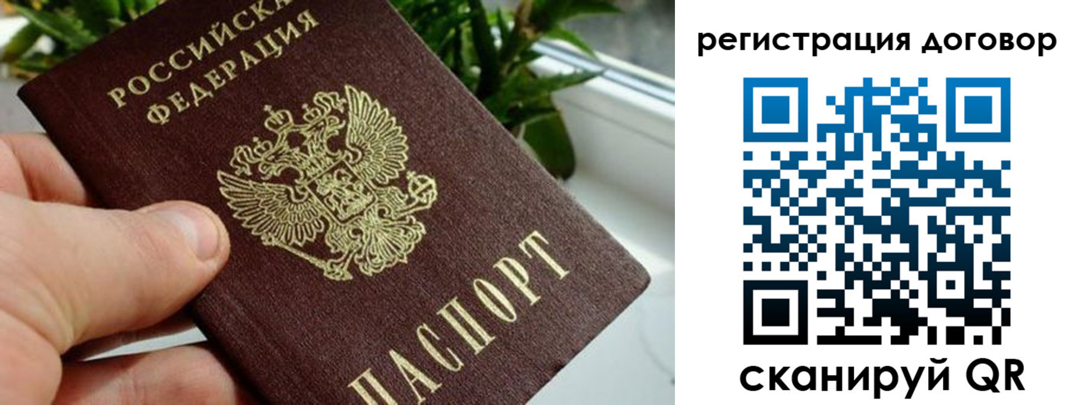 прописка ребенка в Красноярском крае